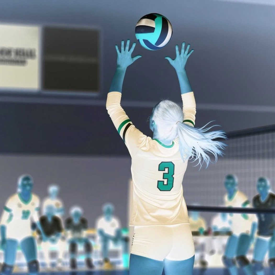 Fukuoka mở màn cuộc đua vé dự Olympic 2028: Nhật Bản và áp lực của kẻ thống trị Fukuoka mở màn cuộc đua vé dự Olympic 2028: Nhật Bản và áp lực của kẻ thống trị