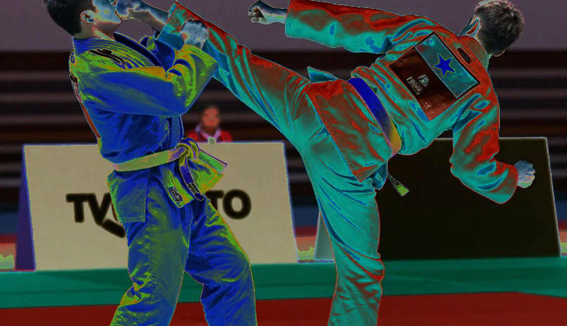 Vietnamese Martial Arts at the Crossroads: When Tradition Is No Longer an Advantage