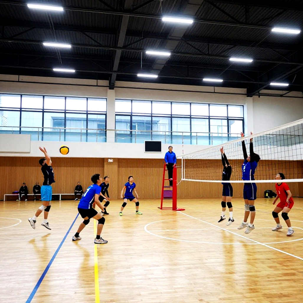 Bóng chuyền tính điểm ra sao? Giải mã luật Rally Point, set đấu và set 5 lên 15