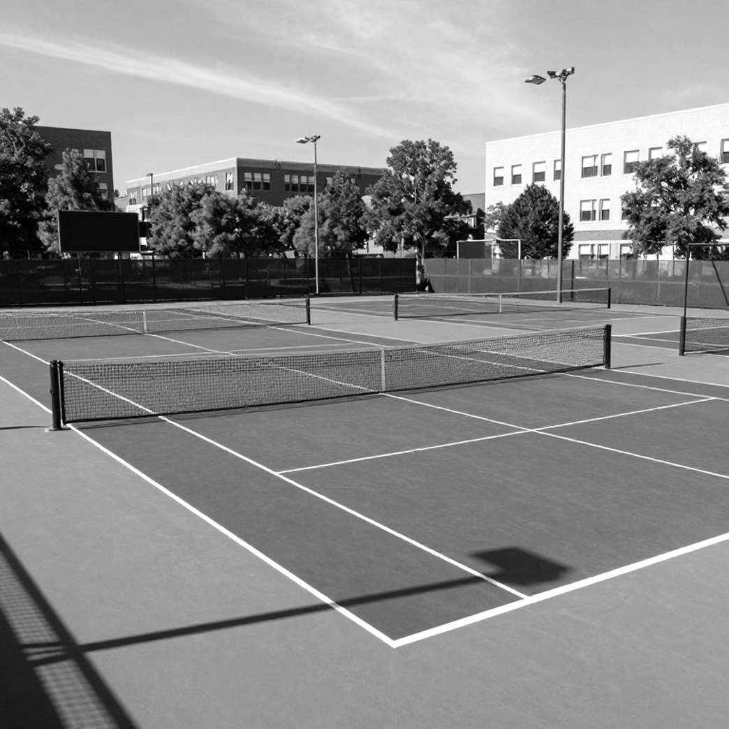 Martina Navratilova Ở Tuổi 70: Khi Sân Cỏ Vắng Lặng Vẫn Còn Vọng Tiếng