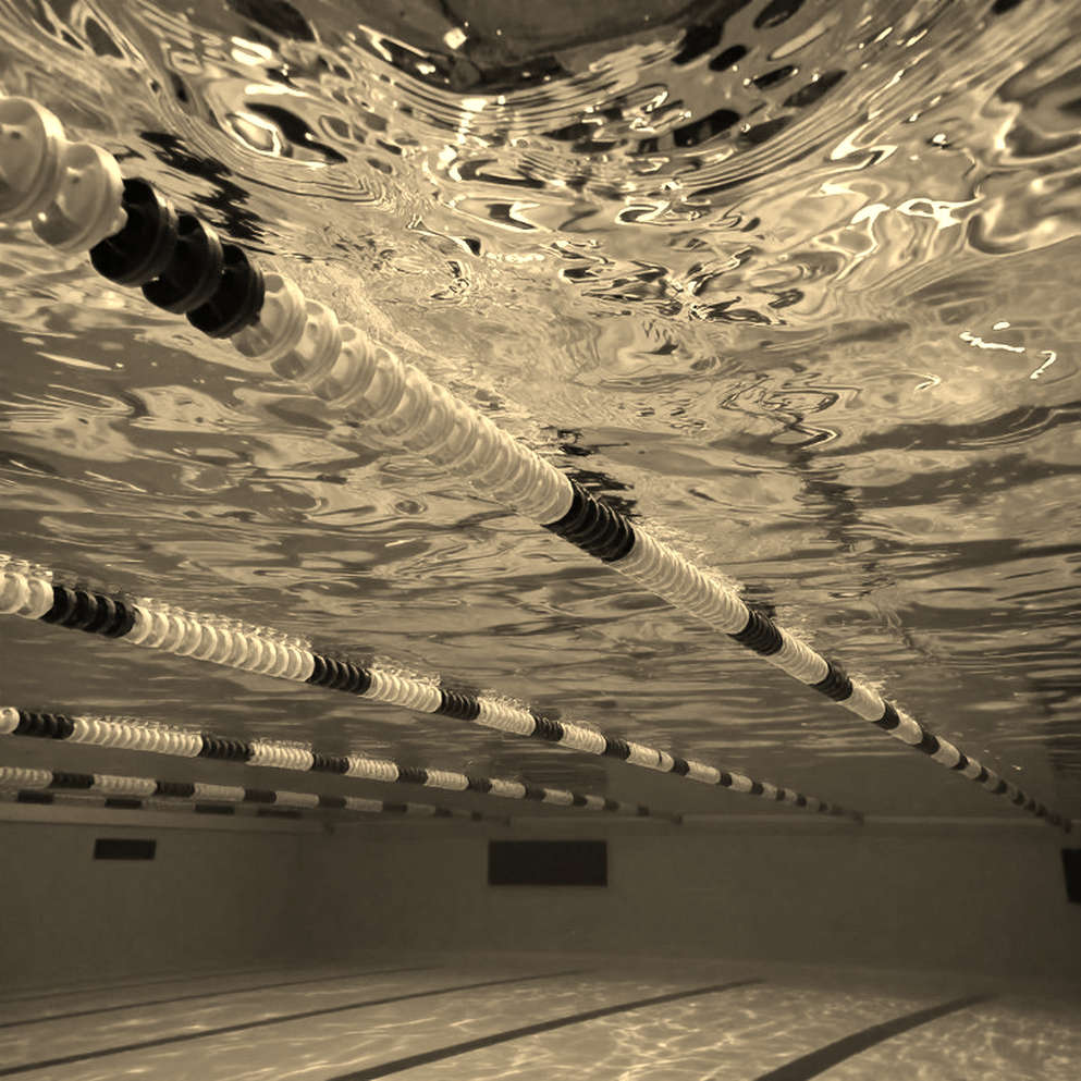 Vietnamese Swimming and the Data Void Behind Every Medal