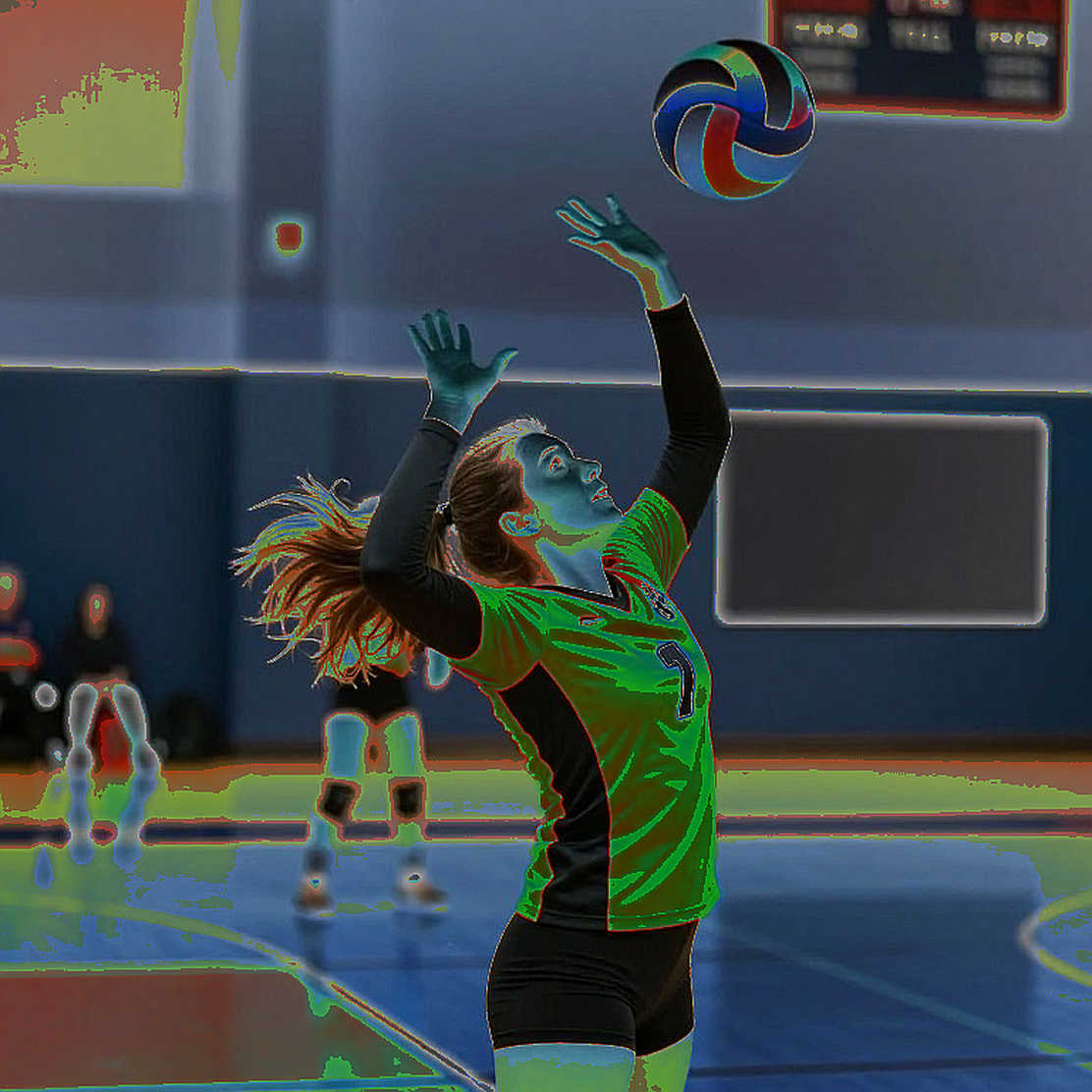 Honda Center và cuộc tổng duyệt Olympic 2028: Đọc lớp trầm tích dưới một thông báo hậu cần